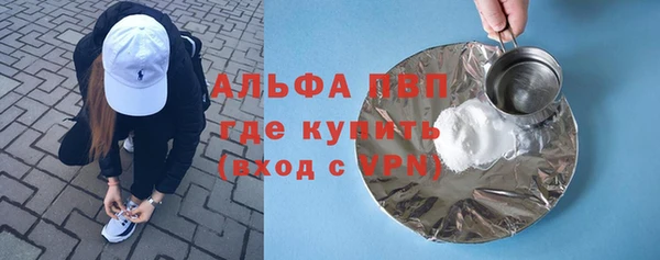 стаф Вяземский