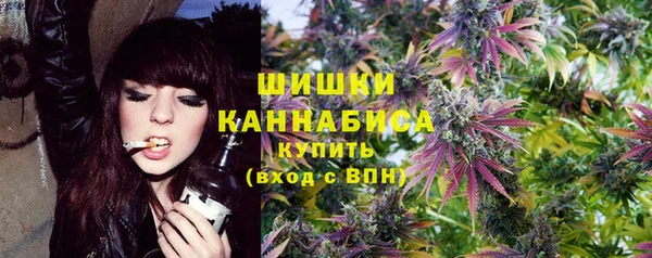 стаф Вяземский