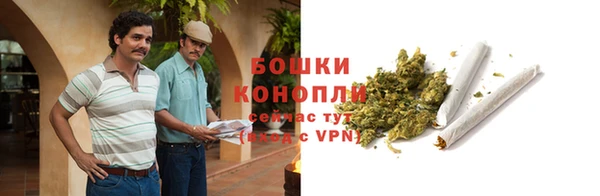 трава Вязьма