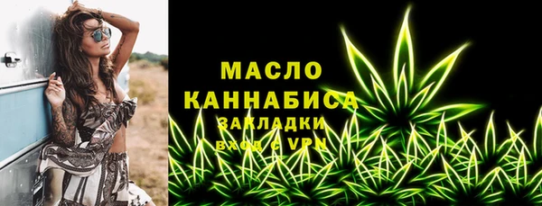 стаф Вяземский