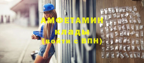 стаф Вяземский