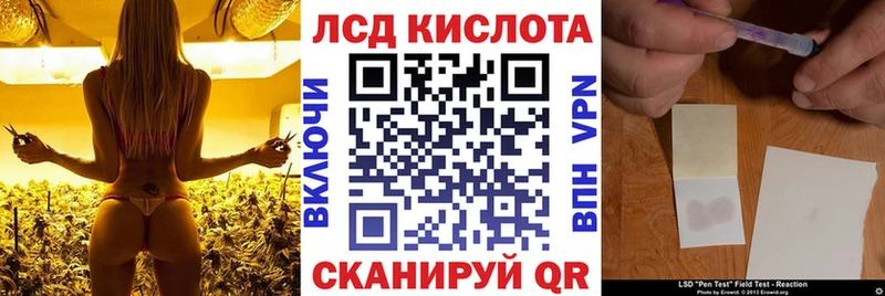 Марки NBOMe 1,5мг  где купить наркоту  Мурманск 